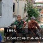 IMG-20250412-WA0045
