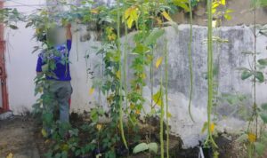 2e3b5562-87bc-4de4-9b8b-446c817d34d3