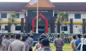 3bc387eb-2e33-482f-a478-2e73fe9b17b6