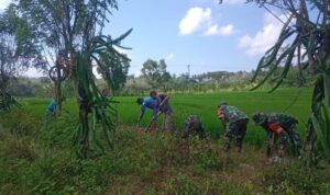 554ba722-e5d1-46c4-8359-646a956e06ac