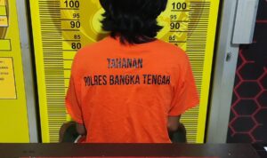 758d77b2-97c7-4c7e-a9ac-b49a72be43c7