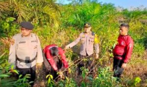 7699f576-530c-4c9c-b4b1-6263dcec0fe0