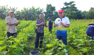 WhatsApp Image 2025-07-04 at 12.59.39 PM