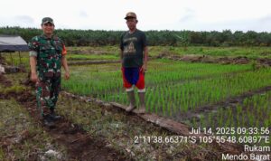 WhatsApp Image 2025-07-14 at 5.31.06 PM