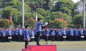 WhatsApp Image 2025-07-17 at 17.13.44