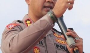 c255bccb-1324-4c4a-a01c-50a469675e0f