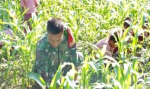 9093eaf7-f28a-429f-a0fa-d7d395718708