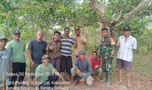 55e868b9-455c-41fe-a885-6a08d8894292