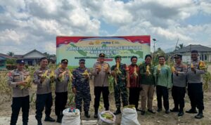 92e43996-ebcf-45ab-bc1b-020c1f82ecaf