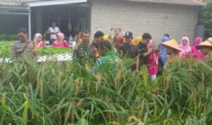 04398e0c-592a-42e9-bdc1-82a0ea148b09