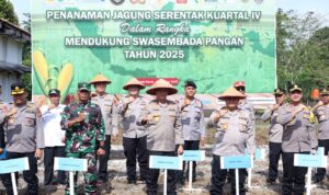 44b4d8f5-d5d5-41d6-bf4b-2c954c87671b