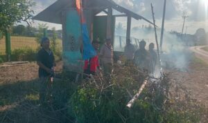 52bc6aa4-85aa-45c8-930f-786669d55dc3