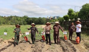 80c2e075-ff05-4497-8c11-3d3364f52002