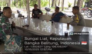 IMG-20251011-WA0104(1)