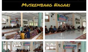 11d73c84-ef79-4d26-9aa5-b54ccb814037