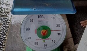 331ff426-0a54-49d0-9798-01745854714d