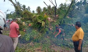 WhatsApp Image 2025-11-20 at 12.54.48 (1)