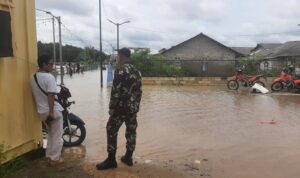 03af1ff9-b439-49e3-a251-a53af747ffac