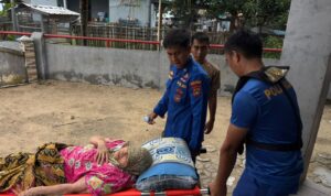 WhatsApp Image 2025-12-07 at 20.34.02