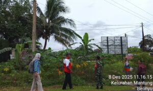 WhatsApp Image 2025-12-08 at 19.23.19