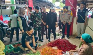 WhatsApp Image 2025-12-12 at 13.36.17