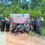 cef98f62-9b20-46f7-8cd3-ffffec6212f6