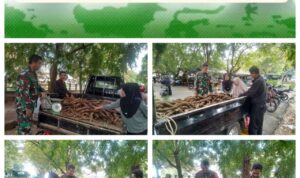 f9549b48-0972-40ff-aaf0-065150dc9f02