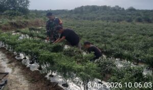 WhatsApp Image 2026-04-07 at 19.45.02