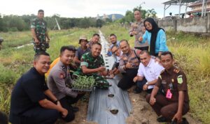 WhatsApp Image 2026-04-08 at 01.21.55 (2)