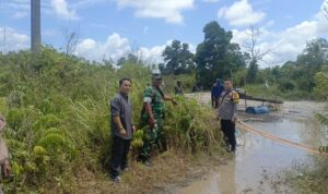 WhatsApp Image 2026-04-15 at 19.18.19