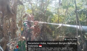 IMG-20260928-WA0029
